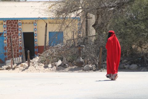 Pray for Somali Christians who are imprisoned for their faith in Christ.