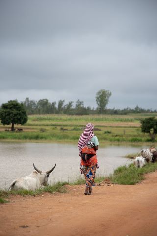 Militant Fulani Muslims ambushed Christians as they were returning from their farms, killing four and wounding others.